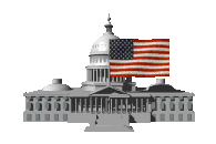 US capitol with flag
