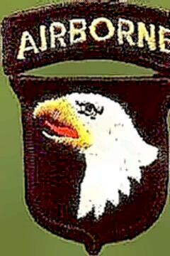 101st Airbprne patch