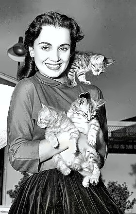 Actress Susan Cabot with kittens