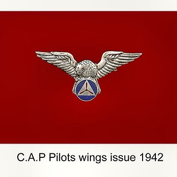 Civil Air Patrol wings