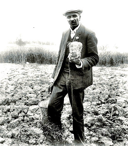 George Washington Carver in the field