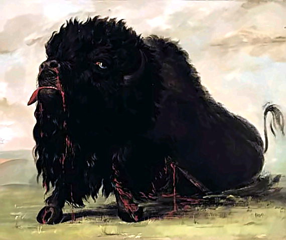 George Catlin's Dying Buffalo