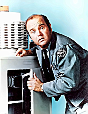 Comedian Dom DeLuise