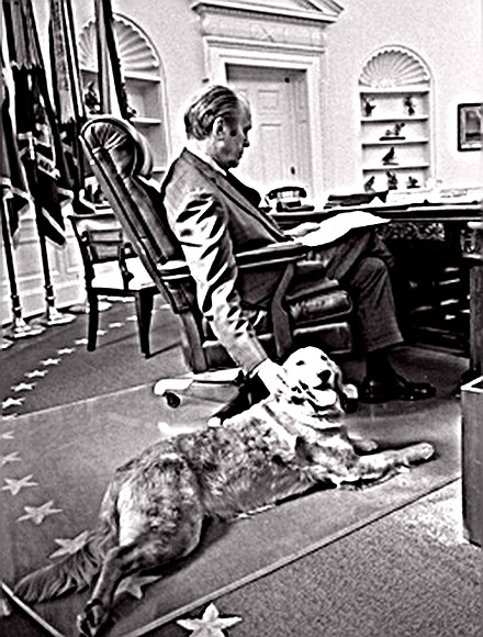 President Gerald Ford in the Oval Office with his dog