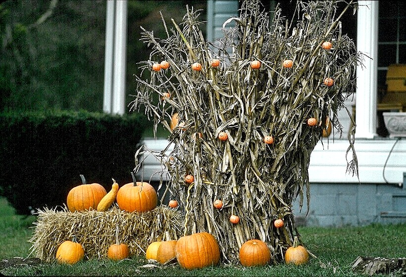 Halloween - traditional decorations