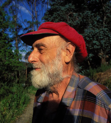 Friedrich Hundertwasser Artist Friedrich Hundertwasser