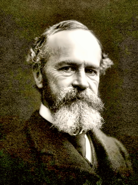 Psychologist William James