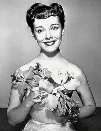 Actress Phyllis Kirk