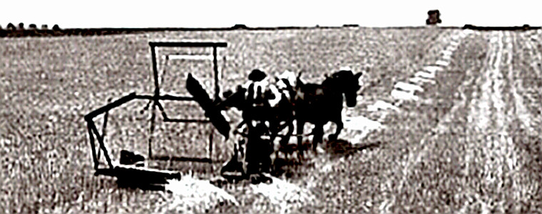 The McCormick Autorake in the field