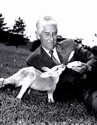 Zoologist Marlin Perkins