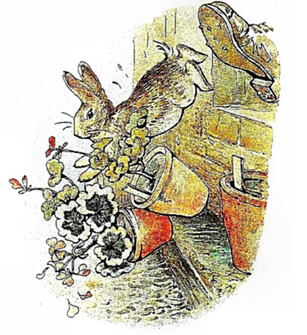 Beatrix Potter's Peter Rabbit