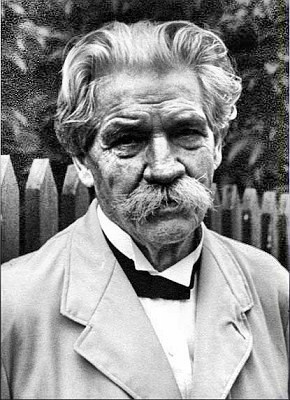 Albert Schweitzer portrait