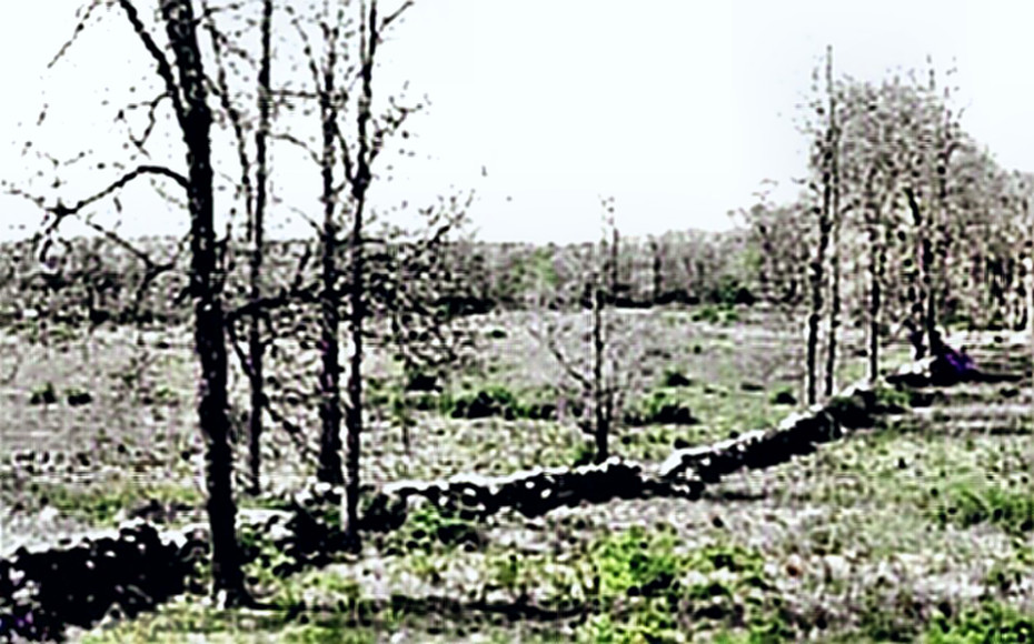 another stone fence