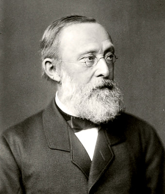 Scientist Rudolf Virchow