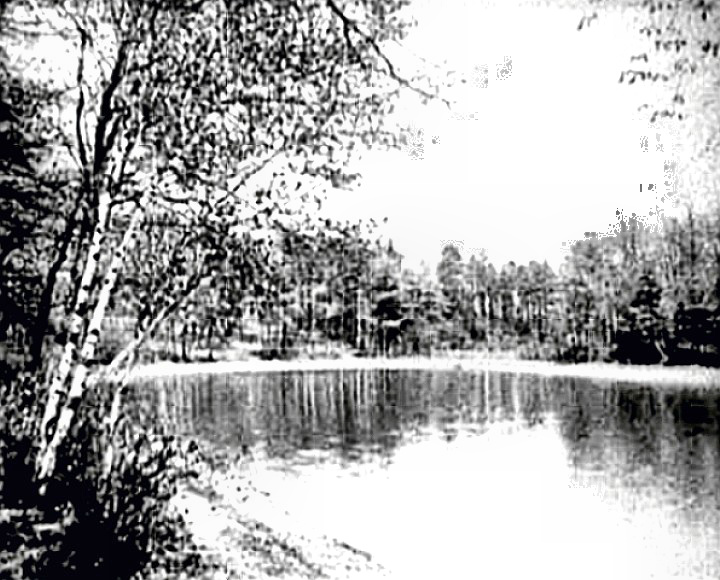 Walden Pond